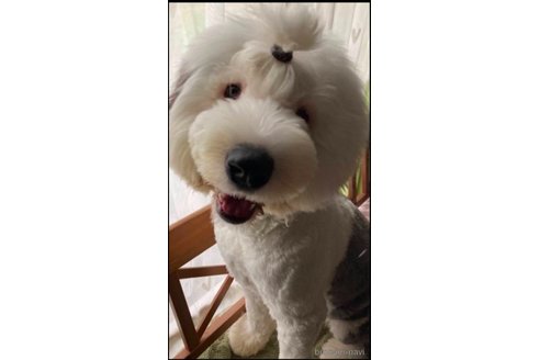 ララちゃん1枚目