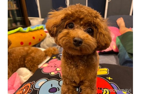 おとちゃん1枚目
