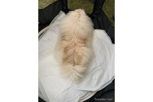 サムくん1枚目