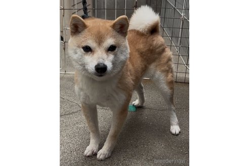 エムちゃん1枚目