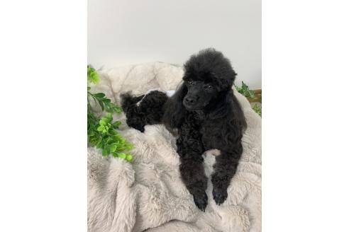 ランランちゃん1枚目
