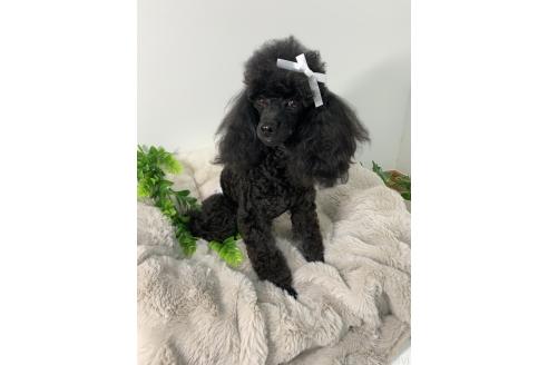 ランランちゃん1枚目