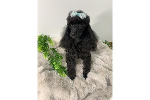 ランランちゃん1枚目
