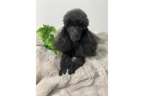 ランランちゃん1枚目