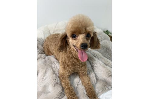 アランくん1枚目