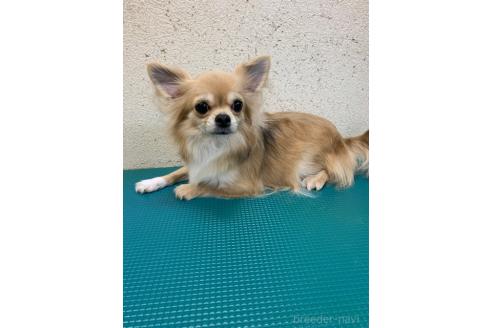 どんぐりちゃん1枚目