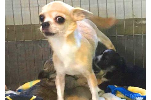 ちゃん1枚目