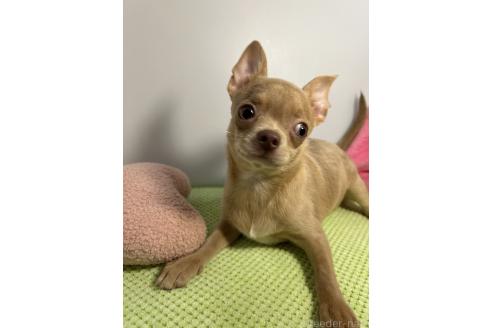 万鈴ちゃん1枚目