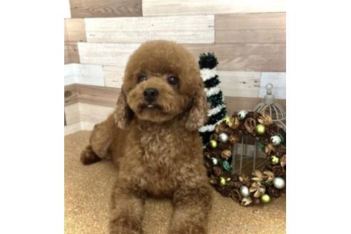 ニッキちゃん1枚目