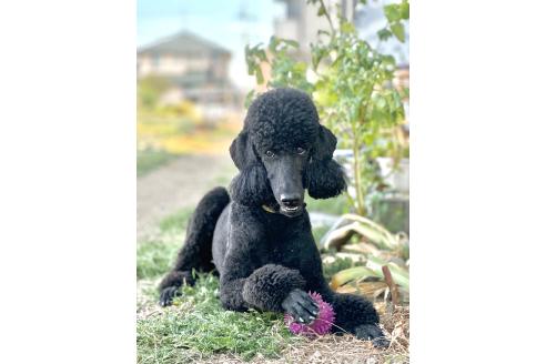 あまねちゃん1枚目