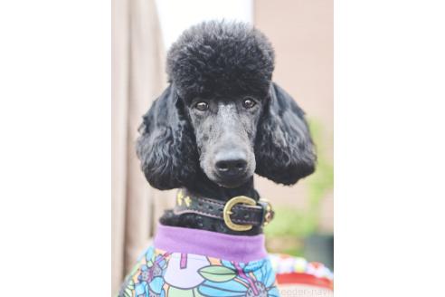 あまねちゃん1枚目