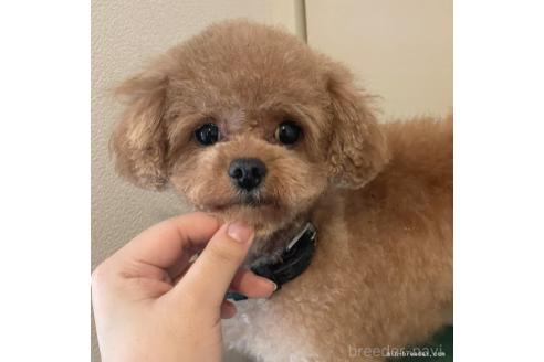 ベニーくん1枚目