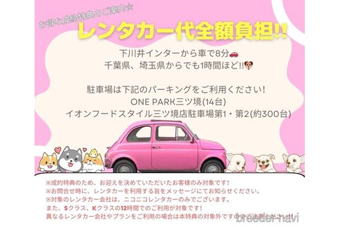 成約済の神奈川県のミニチュアダックスフンド(ロングヘアード)-365570の13枚目