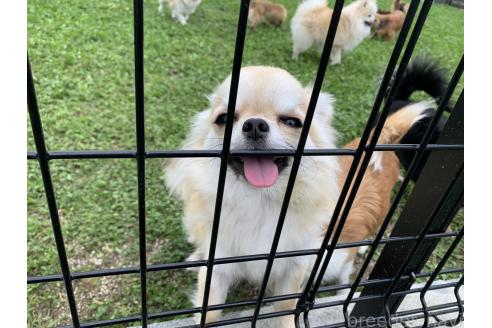 レイニーちゃん1枚目