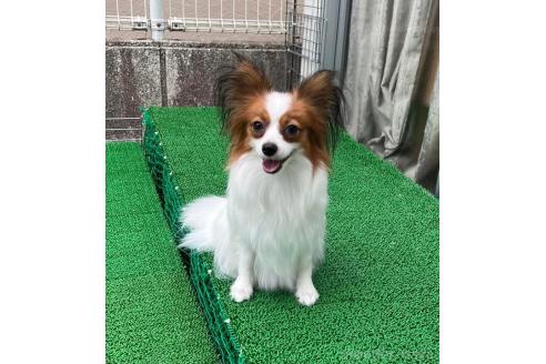 ちゃん1枚目