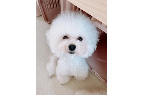 ジーナちゃん1枚目