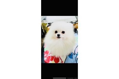 イサンくん1枚目