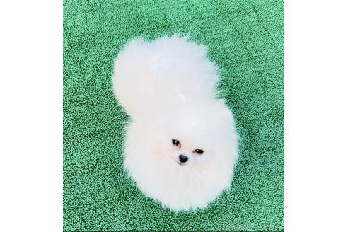 イサンくん1枚目