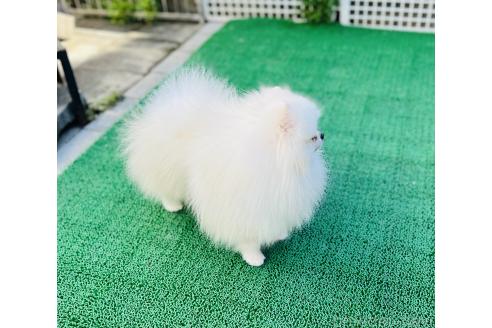 イサンくん1枚目