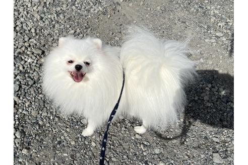 まきちゃん1枚目