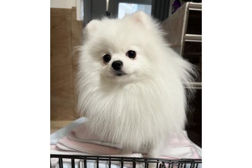 まきちゃん1枚目