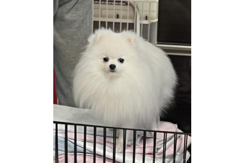 まきちゃん1枚目