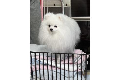 まきちゃん1枚目