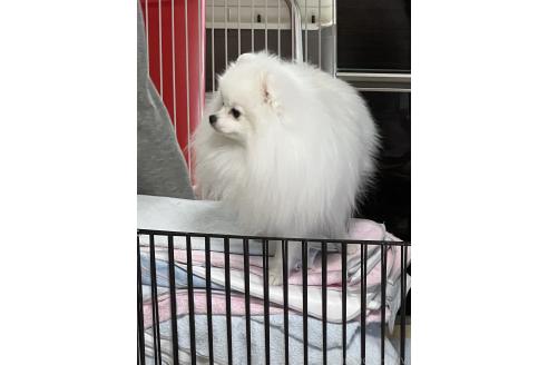 まきちゃん1枚目