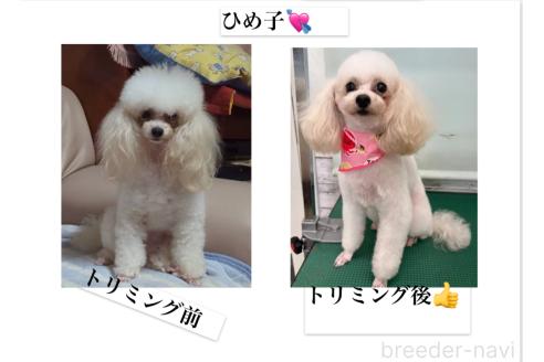 ちゃん1枚目