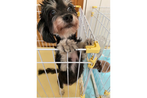 ズキちゃん1枚目