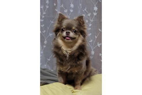 クウちゃん1枚目