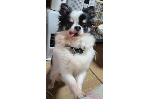 ソラくん1枚目