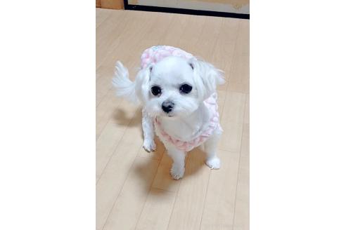 サブリナちゃん1枚目