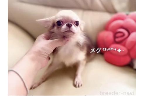 ちゃん1枚目