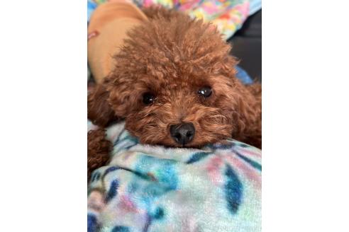 ちゃん1枚目