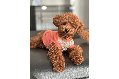 ちゃん1枚目