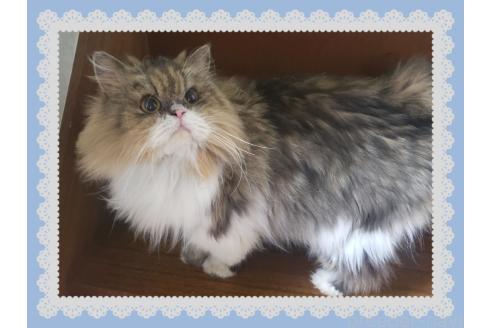 エマ🎀ちゃん1枚目