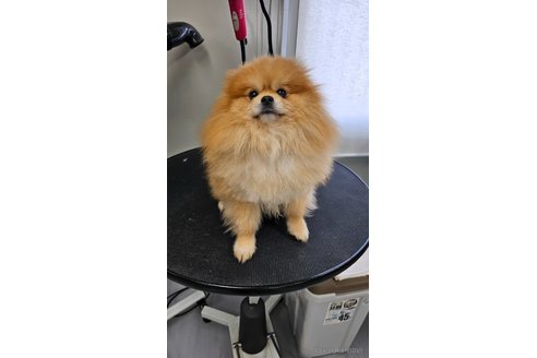 サボくん1枚目