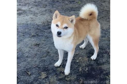 ケンタくん1枚目