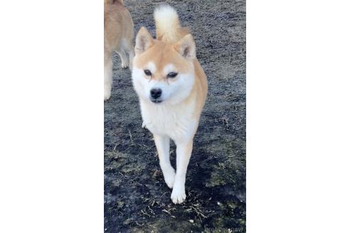 ケンタくん1枚目