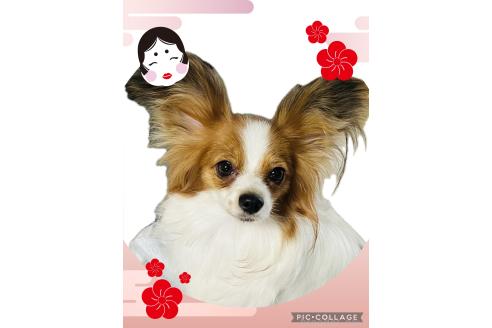 ちゃん1枚目