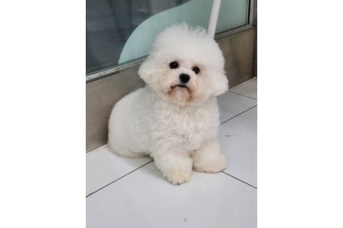 リーナちゃん1枚目