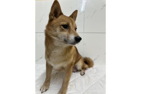 ちゃん1枚目