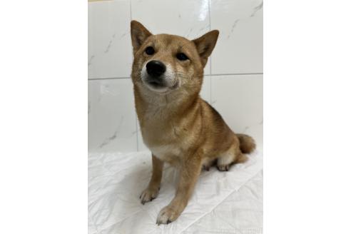 ちゃん1枚目