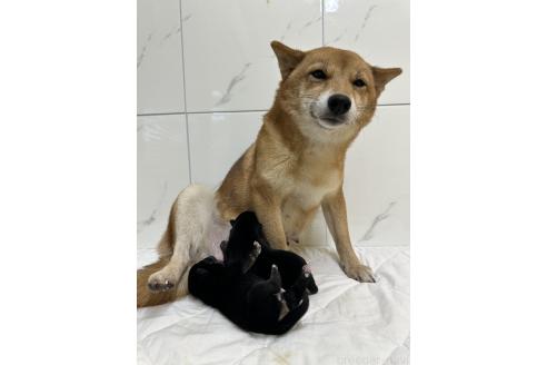 ちゃん1枚目