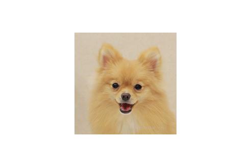 マカナちゃん1枚目