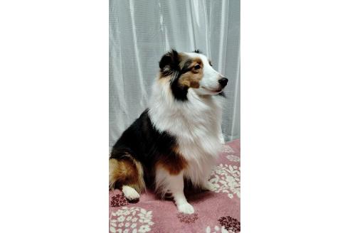 ローラちゃん1枚目