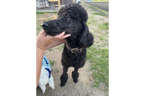 あまねちゃん1枚目