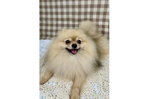 おかきくん1枚目