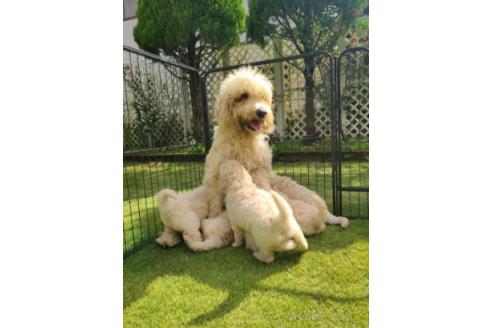 つむじちゃん1枚目